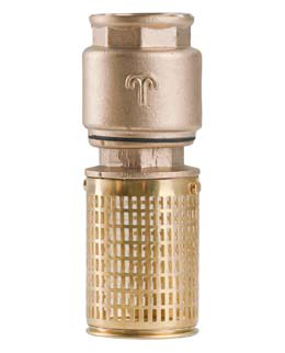 VA PB foot valve with brass strainer 260 x pix