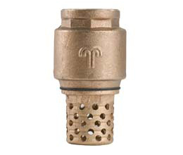 VA PB foot valve with cast strainer 260 x 444 pix